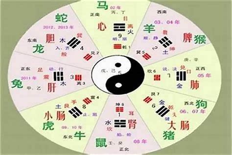 雯五行|雯字的五行属性